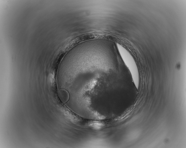 X0000099500610200805221402