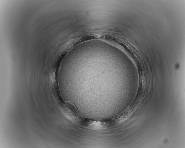 X0000099500611200805221402