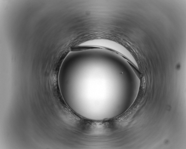 X0000099500613200805221402