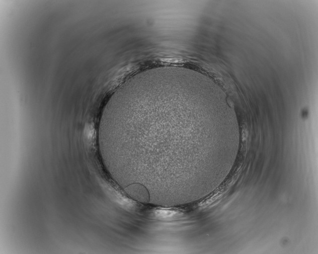 X0000099500614200805221402
