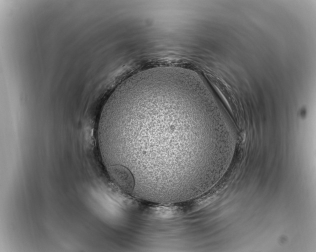 X0000099500615200805221402