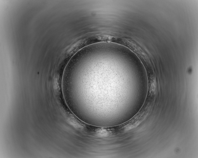 X0000099500616200805221402