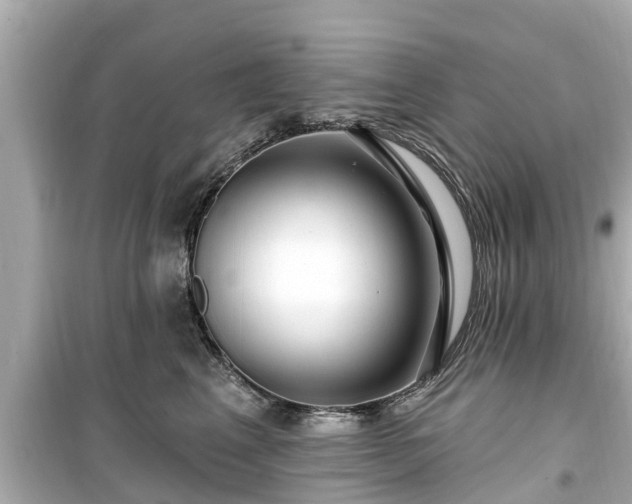 X0000099500617200805221402