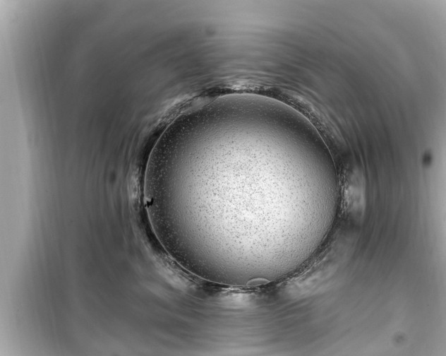 X0000099500620200805221402