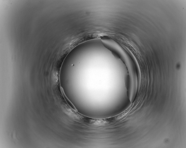 X0000099500621200805221402