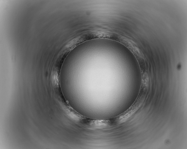 X0000099500622200805221402