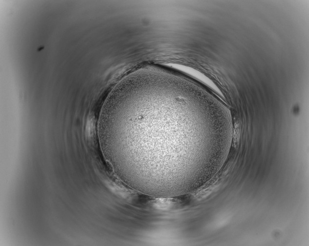 X0000099500623200805221402