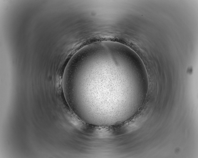 X0000099500624200805221402