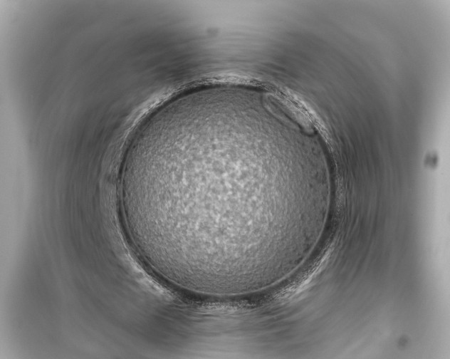 X0000099500625200805221401