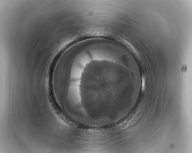 X0000099500627200805221401