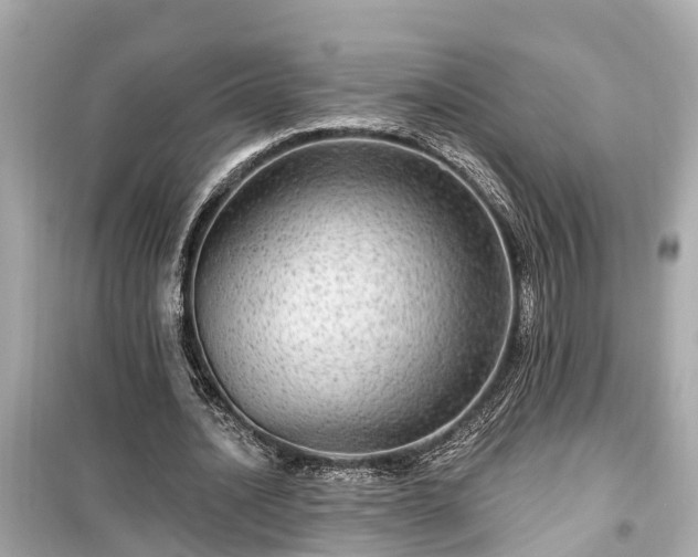 X0000099500628200805221401