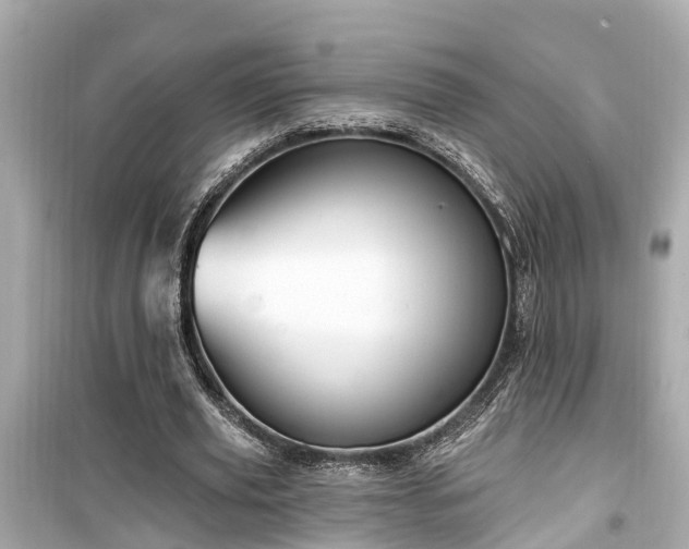 X0000099500629200805221401