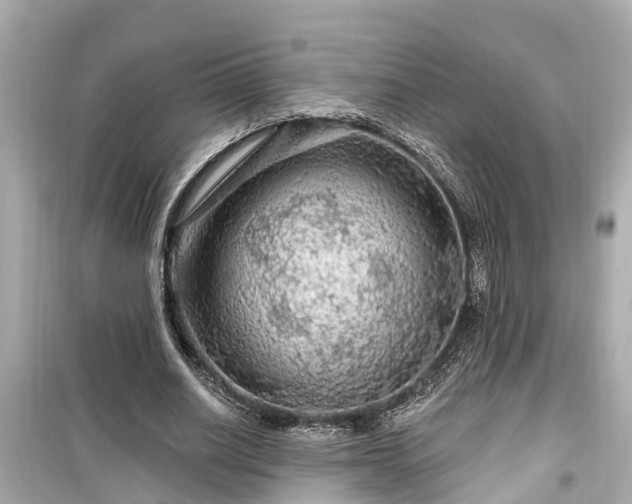 X0000099500630200805221401