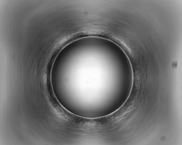 X0000099500631200805221401