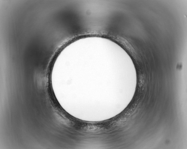 X0000099500632200805221401
