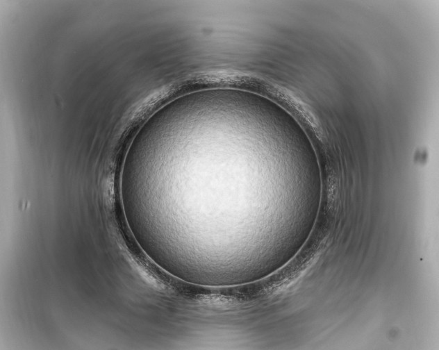 X0000099500633200805221401
