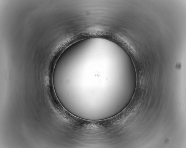 X0000099500635200805221401