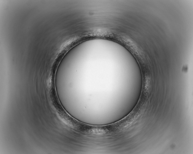 X0000099500636200805221401