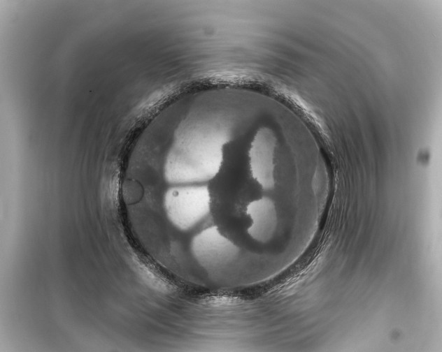 X0000099500637200805221401