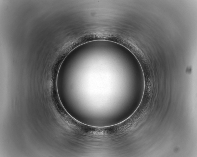 X0000099500639200805221401
