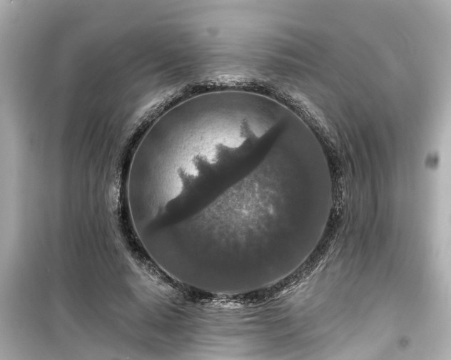 X0000099500640200805221401