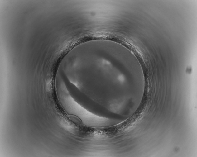 X0000099500641200805221401