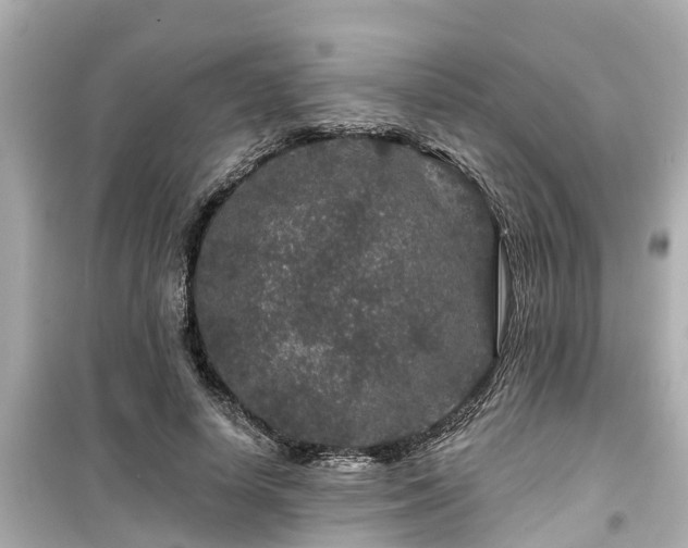 X0000099500642200805221401