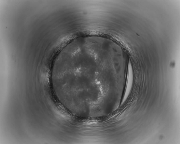 X0000099500643200805221401