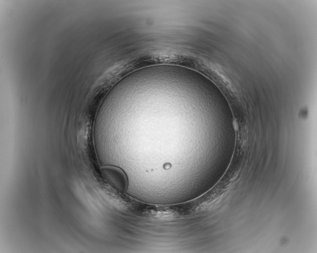 X0000099500645200805221401