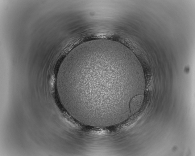 X0000099500646200805221401