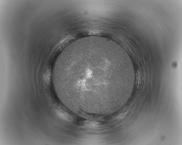 X0000099500648200805221401