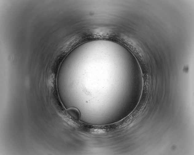 X0000099500649200805221401
