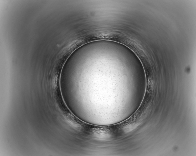 X0000099500652200805221401