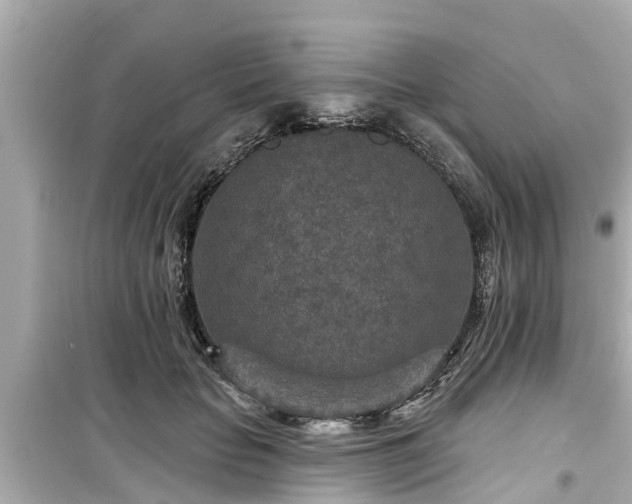 X0000099500653200805221402