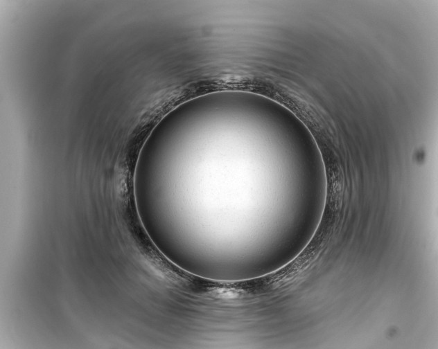 X0000099500654200805221402