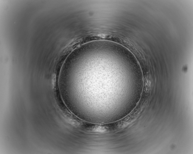 X0000099500656200805221402