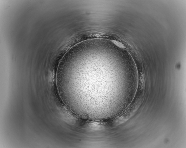 X0000099500657200805221402