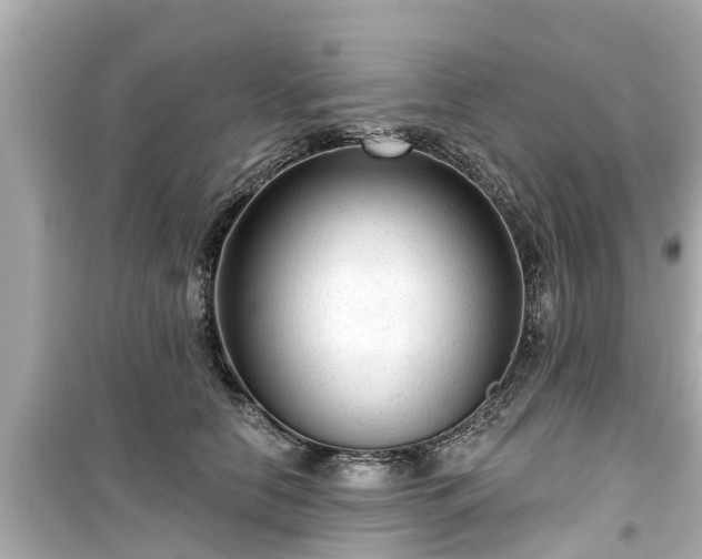 X0000099500658200805221402