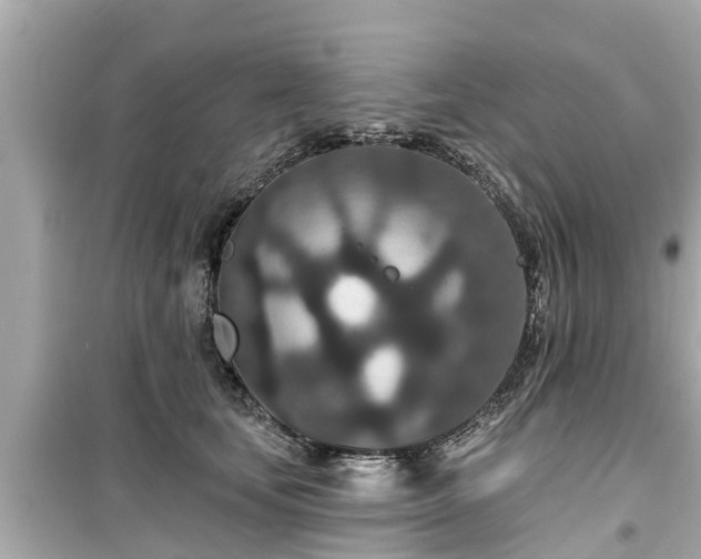 X0000099500659200805221402