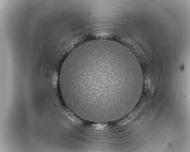 X0000099500660200805221402
