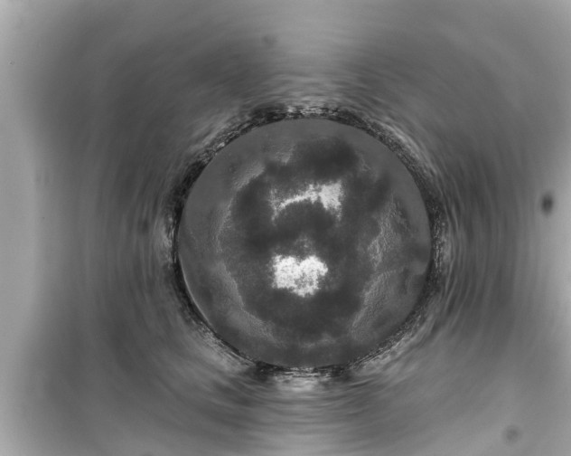X0000099500661200805221402
