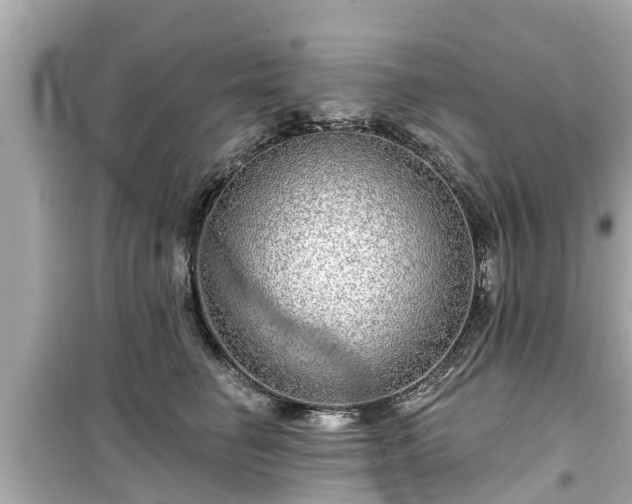 X0000099500662200805221402