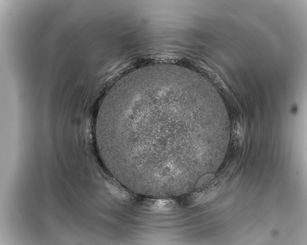 X0000099500663200805221402