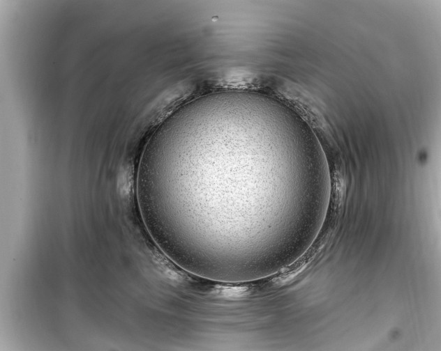 X0000099500665200805221402