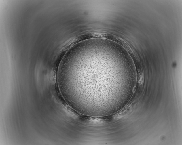 X0000099500666200805221402