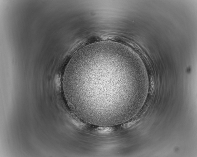 X0000099500667200805221402