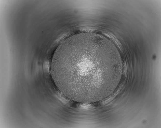 X0000099500669200805221402