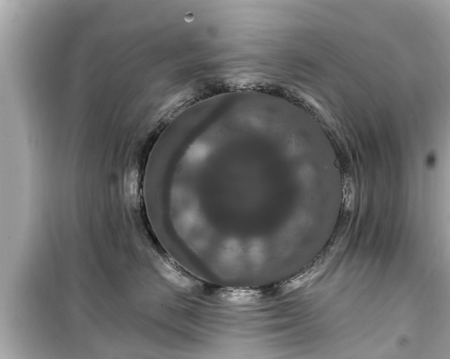 X0000099500670200805221402