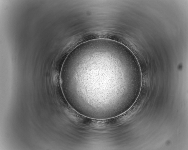 X0000099500671200805221402