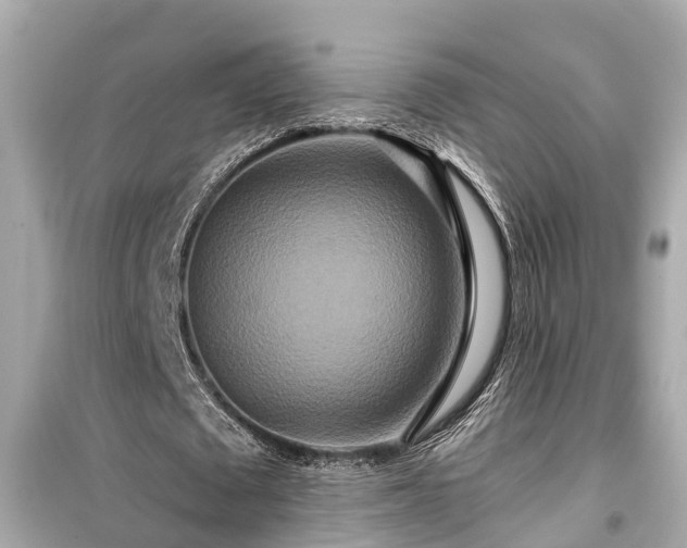 X0000099500673200805221401